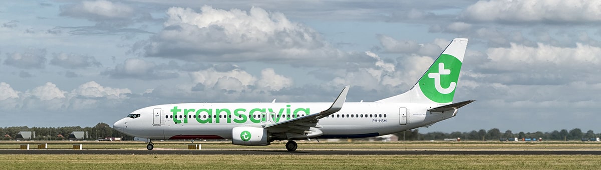 transavia odd size luggage